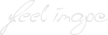 Logo Feelimage